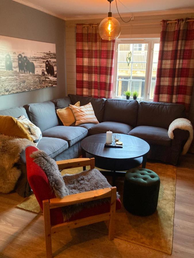 Apartment Alpintun Oppdal